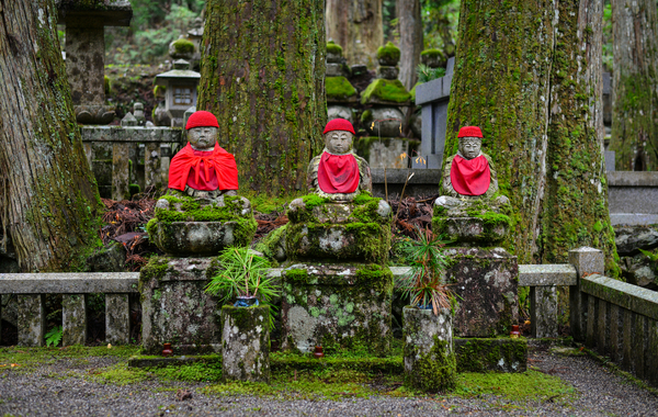 Guide du débutant pour un séjour en temple au Japon