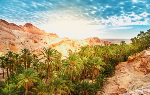 Que faire à Tozeur, Tunisie