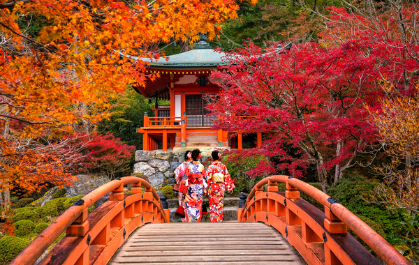 The Ultimate Japan Travel Guide The Ultimate Japan Travel Guide