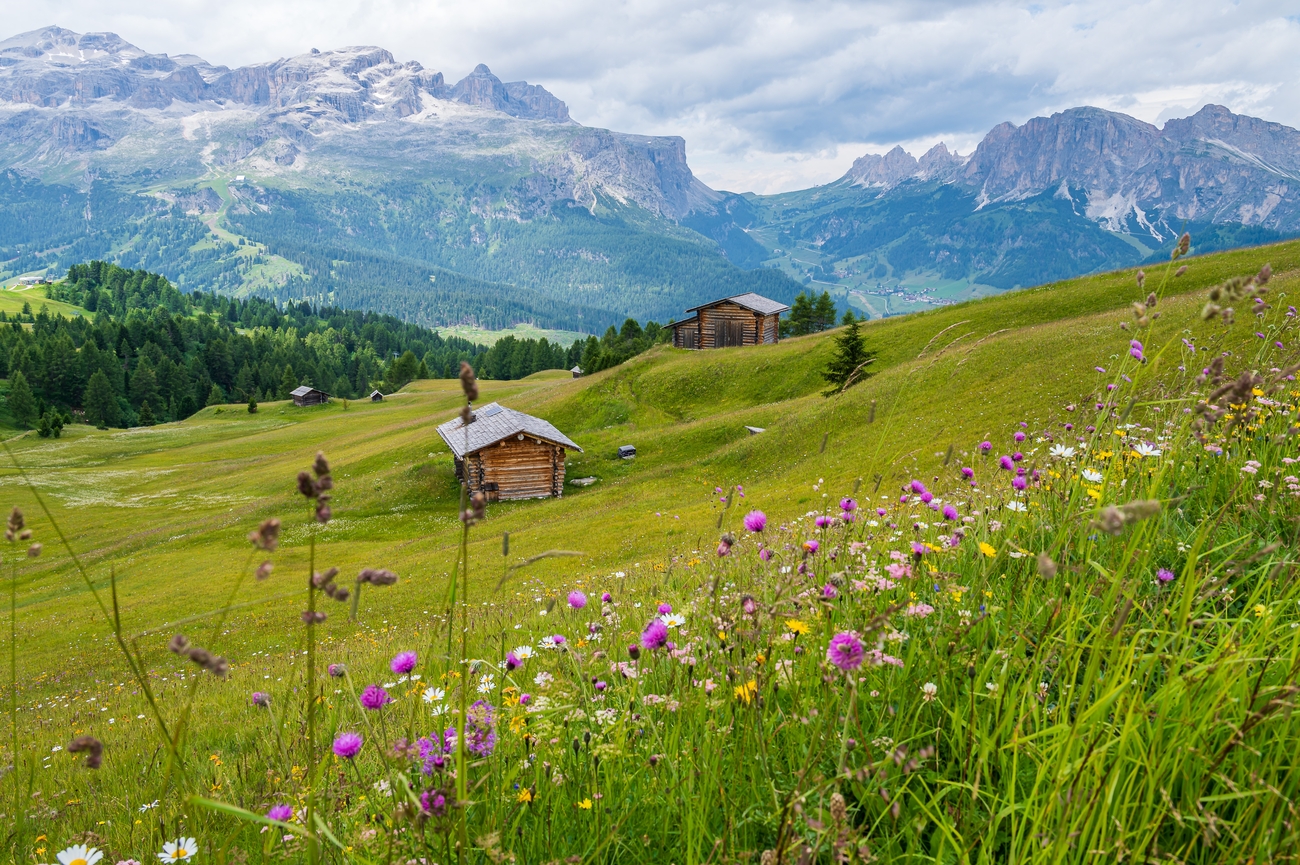 Pralongia-Plateau-Dolomites-Italy.jpg Pralongia-Plateau-Dolomites-Italy.jpg