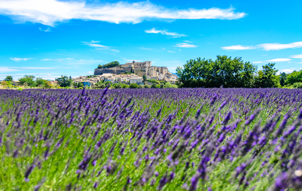 Provence Food Guide What to Eat & Where to Go