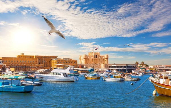 Чем заняться в Александрии, Египет Чем заняться в Александрии, Египет