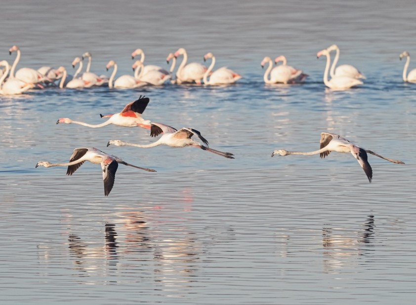 Natureza, Escapadinha & Os Segredos Do Sotavento Algarvio