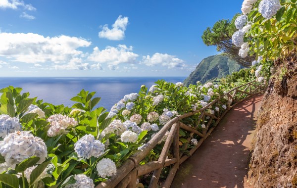 Чем заняться на Aзорских островах Чем заняться на Aзорских островах