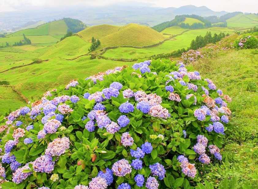 Les couleurs de l’archipel d’Açores