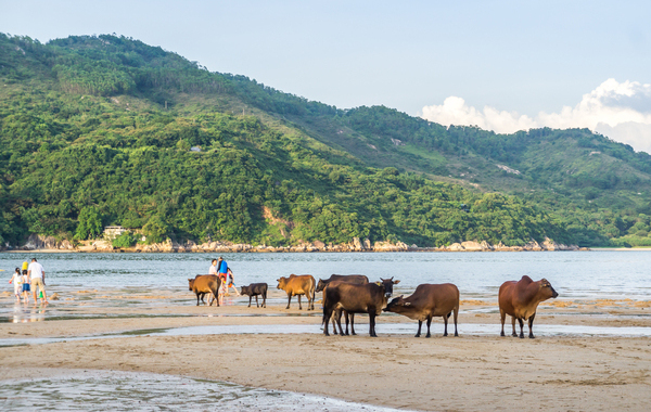 Praias da Ilha de Lantau: Cheung Sha, Tong Fuk e Pui O