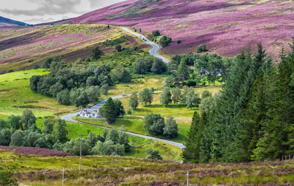 Things to do in Cairngorms, Scotland, UK