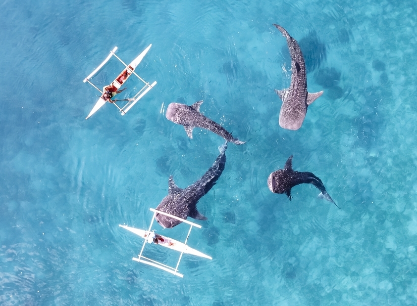 Cebu’s Finest Journey Through Beaches, Waterfalls & Heritage