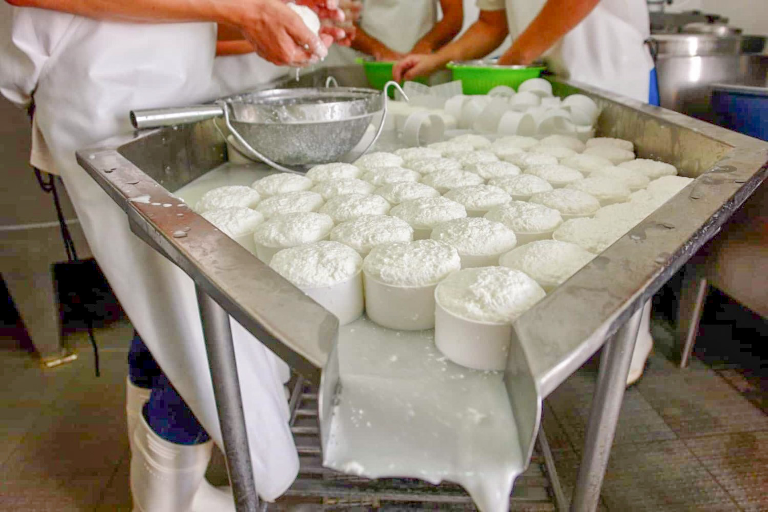 Cheese And Wine Flavours Tour - Algarve And Alentejo Cheese And Wine Flavours Tour - Algarve And Alentejo