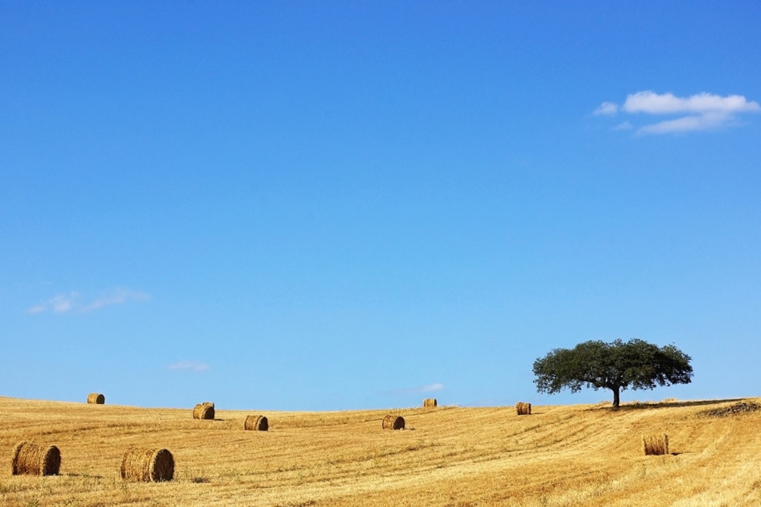 Algarve And Alentejo Cheese And Wine Flavours Holiday Package Algarve And Alentejo Cheese And Wine Flavours Holiday Package