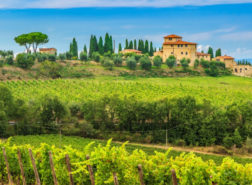 Sabores de Itália: Uma Escapadinha Gastronómica e Vinícola