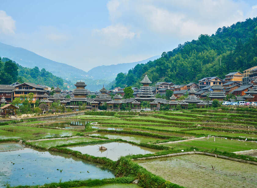 Chine, pandas et sommets : Pékin, Xi’an, Chengdu, mont Emei, Shanghai