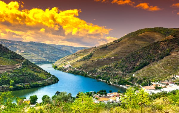 Portugal's Douro Valley Guide Portugal's Douro Valley Guide