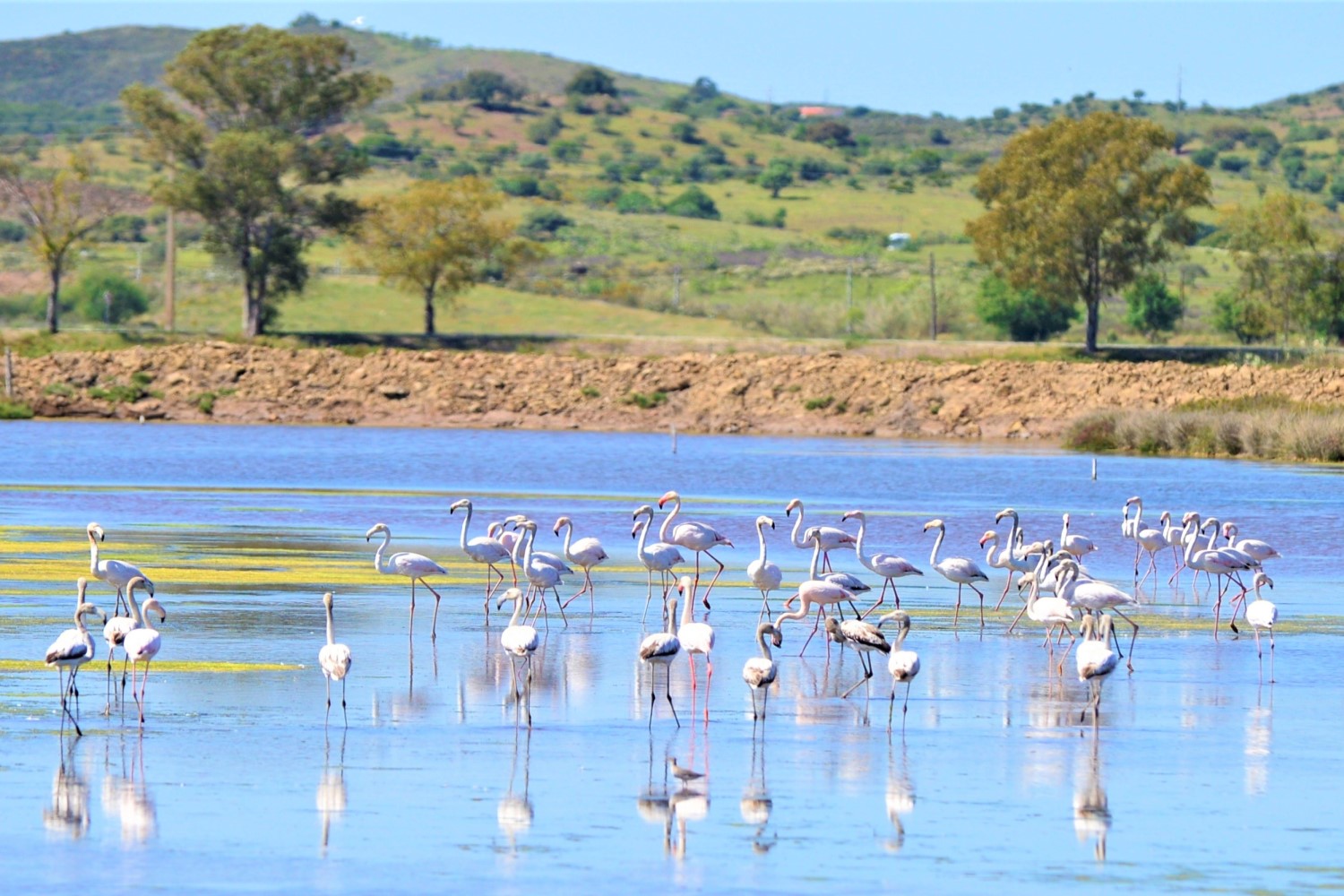 Nature, Escapism & Secrets of the Eastern Algarve, Portugal Nature, Escapism & Secrets of the Eastern Algarve, Portugal