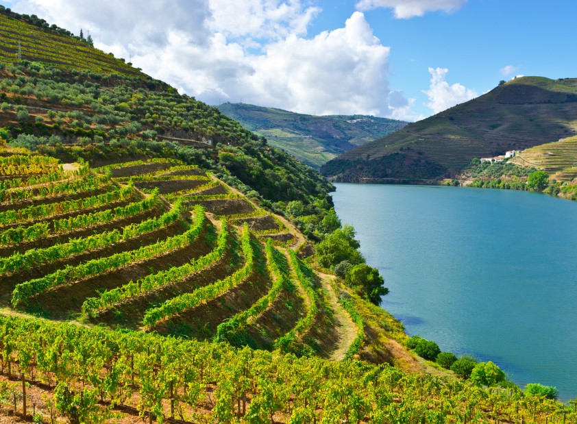 Sabores do Porto - A Experiência Gastronómica