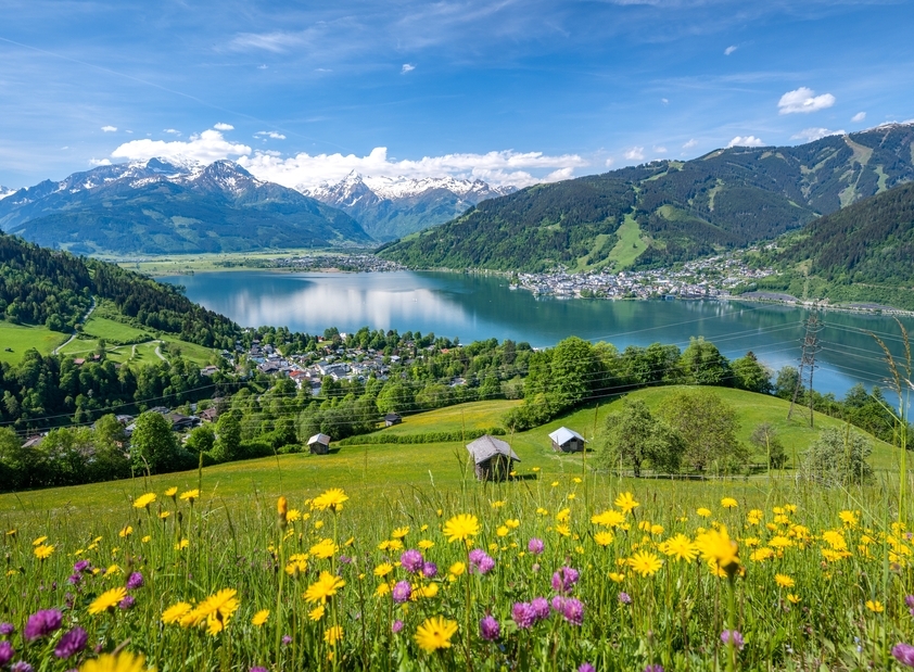 Un Viaje Privado por los Alpes Franceses