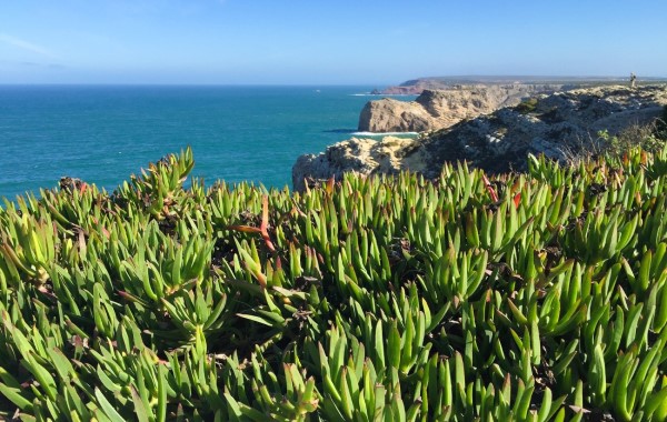 A Visitor's Guide to Sagres A Visitor's Guide to Sagres