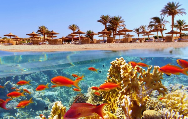Чем заняться в Хургаде, Египет Чем заняться в Хургаде, Египет