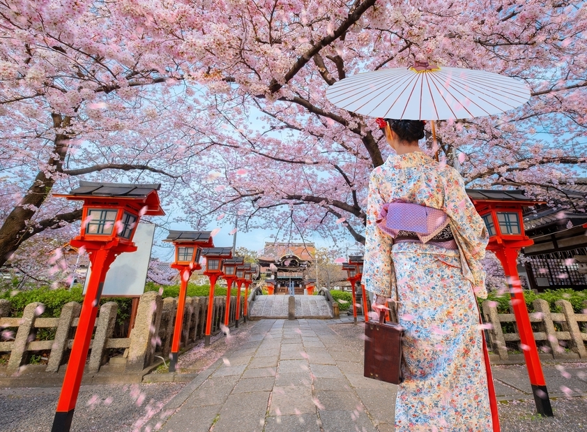 Japan Cherry Blossom Tour: Luxury Itinerary for Hanami Season