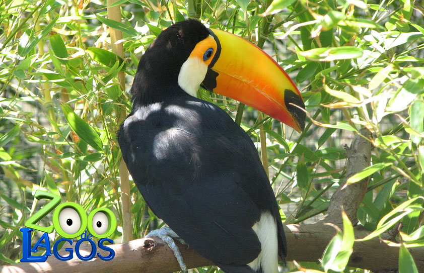 Zoo de Lagos, Algarve