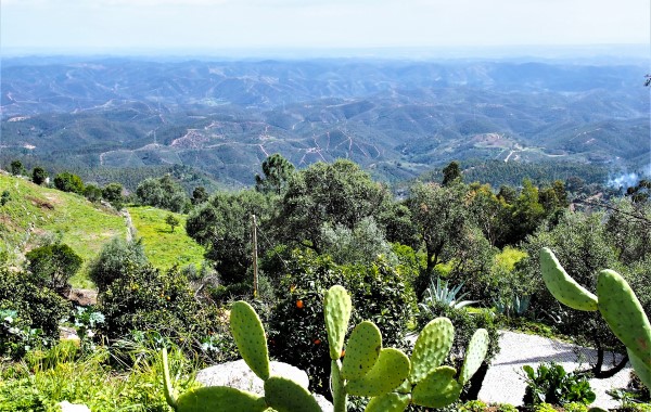 Monchique: A Charming Mountain Town Monchique: A Charming Mountain Town