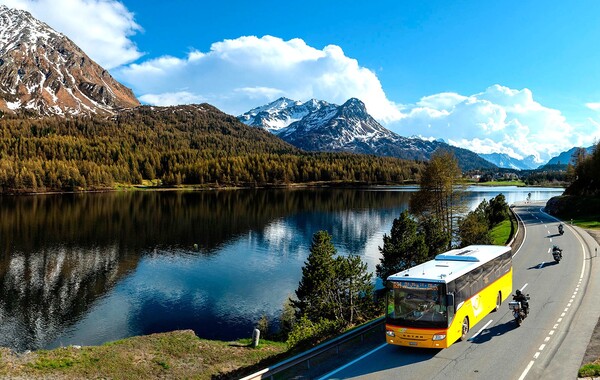 Palm Express: le bus qui va des glaciers au gelato