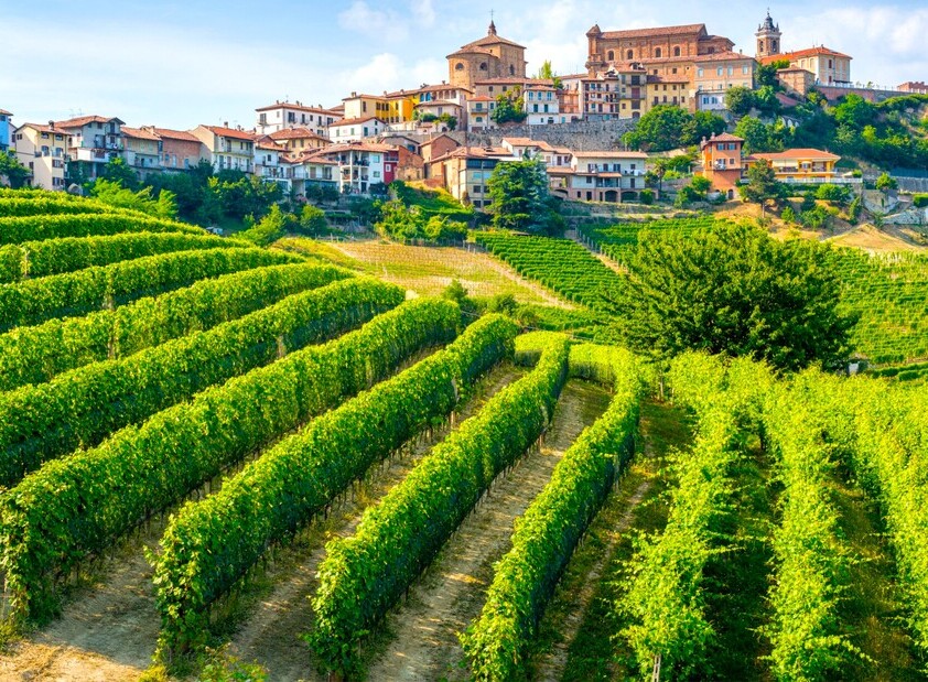 Retiro Gastronómico no Piemonte: Michelin, Trufas e Vinhas