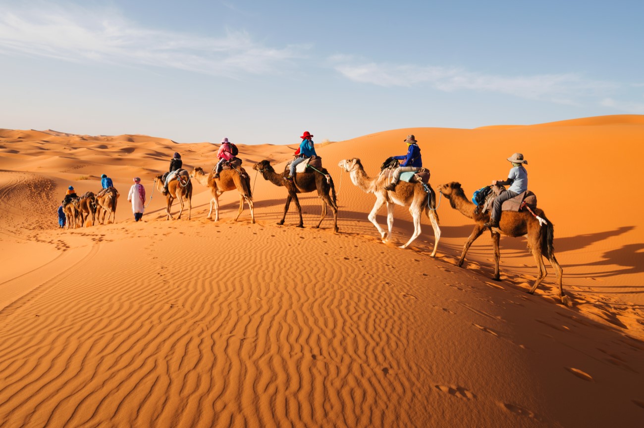Caravan in the Sahara Desert, Morocco, Africa Caravan in the Sahara Desert, Morocco, Africa