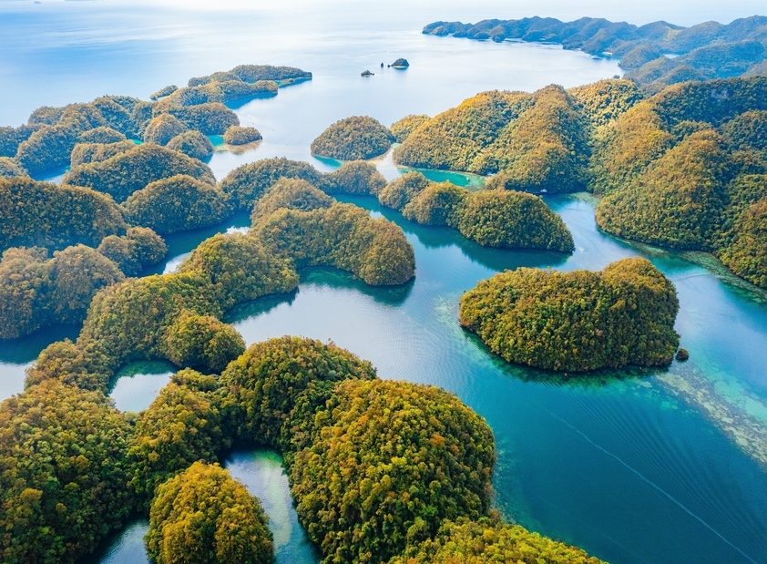 Siargao Private Island Hopping & Surfside Escape