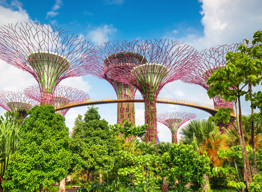 Singapore Wellness Retreat on Sentosa Island