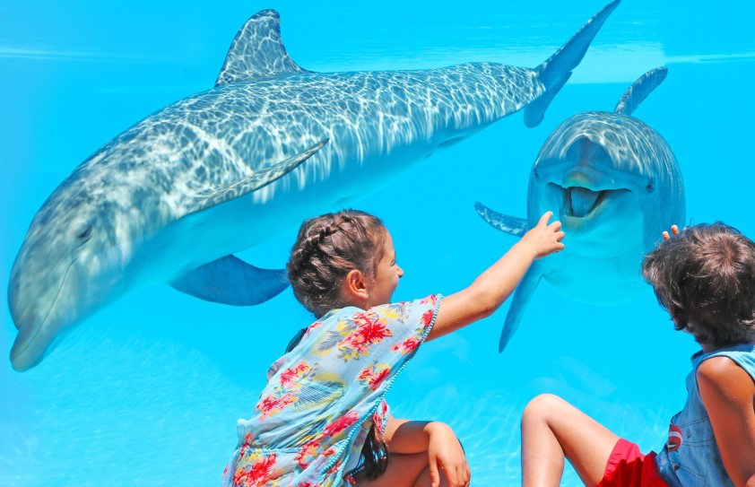 Coisas para fazer com crianças no Algarve