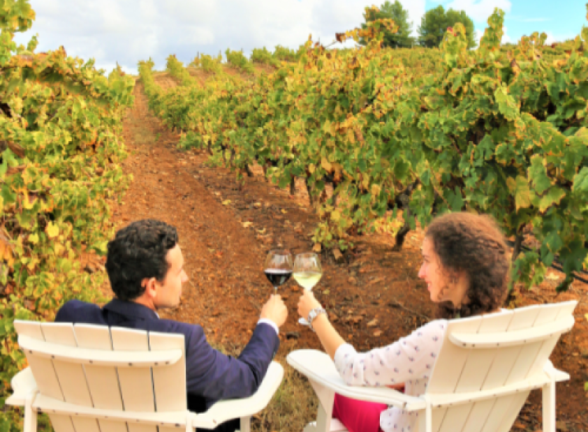 O Meu Workshop de Produção de Vinho & Excursão de Fabrico de Cerveja Artesanal